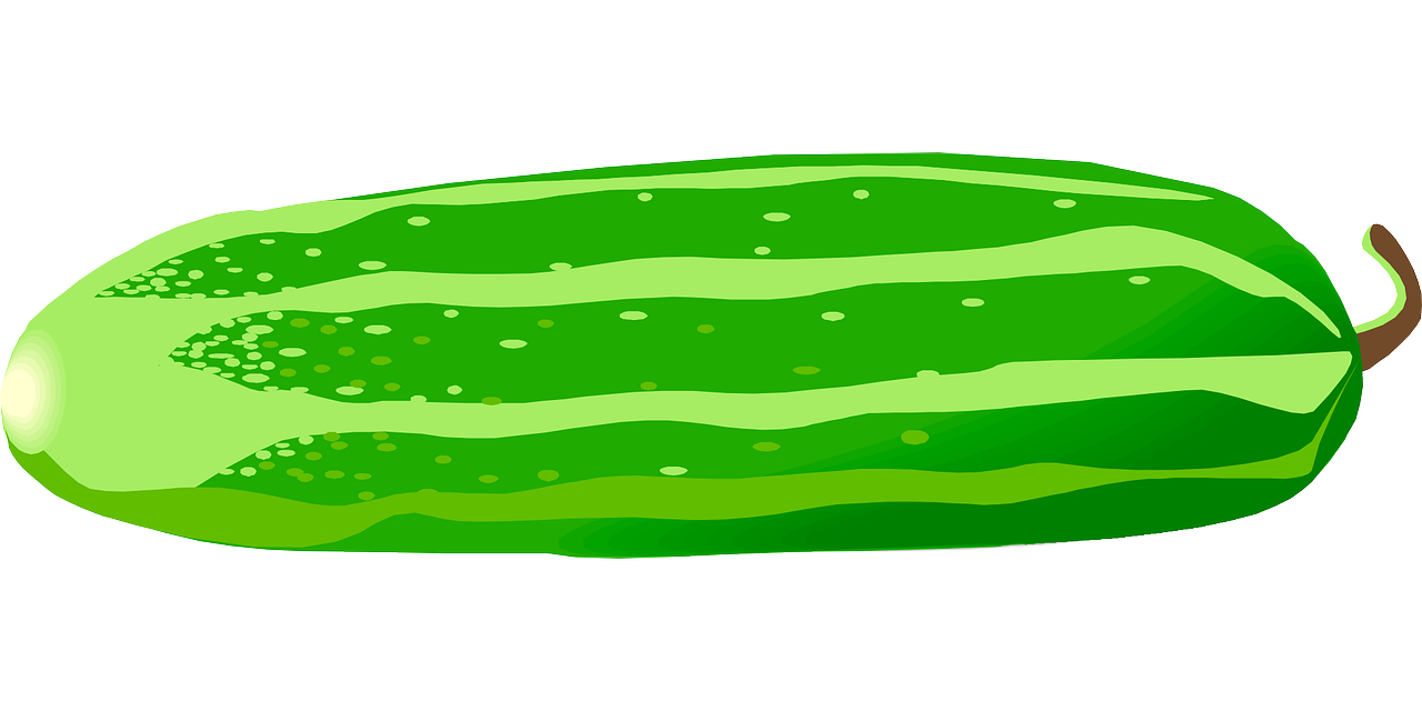 Dessin de concombre